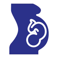 Fertility