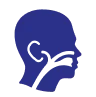 Otorhinolaryngology